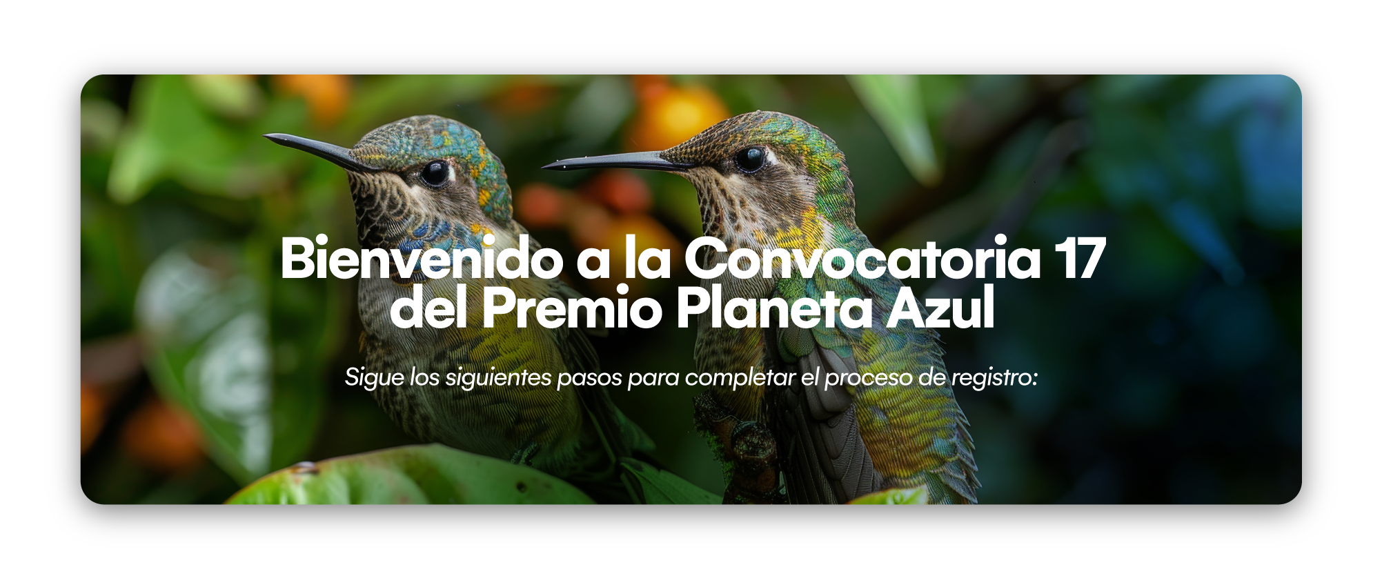 Convocatoria 17 Premio Planeta Azul