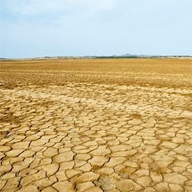 La desertificación: un desafío de nuestro tiempo