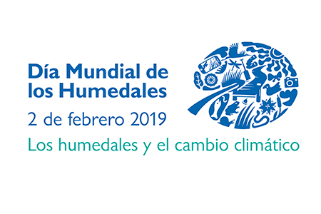 Día Mundial de los Humedales: los humedales y el cambio climático