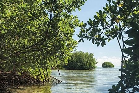 ¿Sabía que hay más de 2.200 sitios Ramsar en todo el mundo?