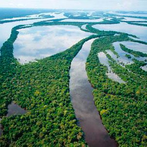 El Río Amazonas