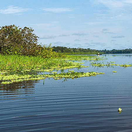 ¿Sabías que hay más de 2.435 sitios Ramsar en todo el mundo?