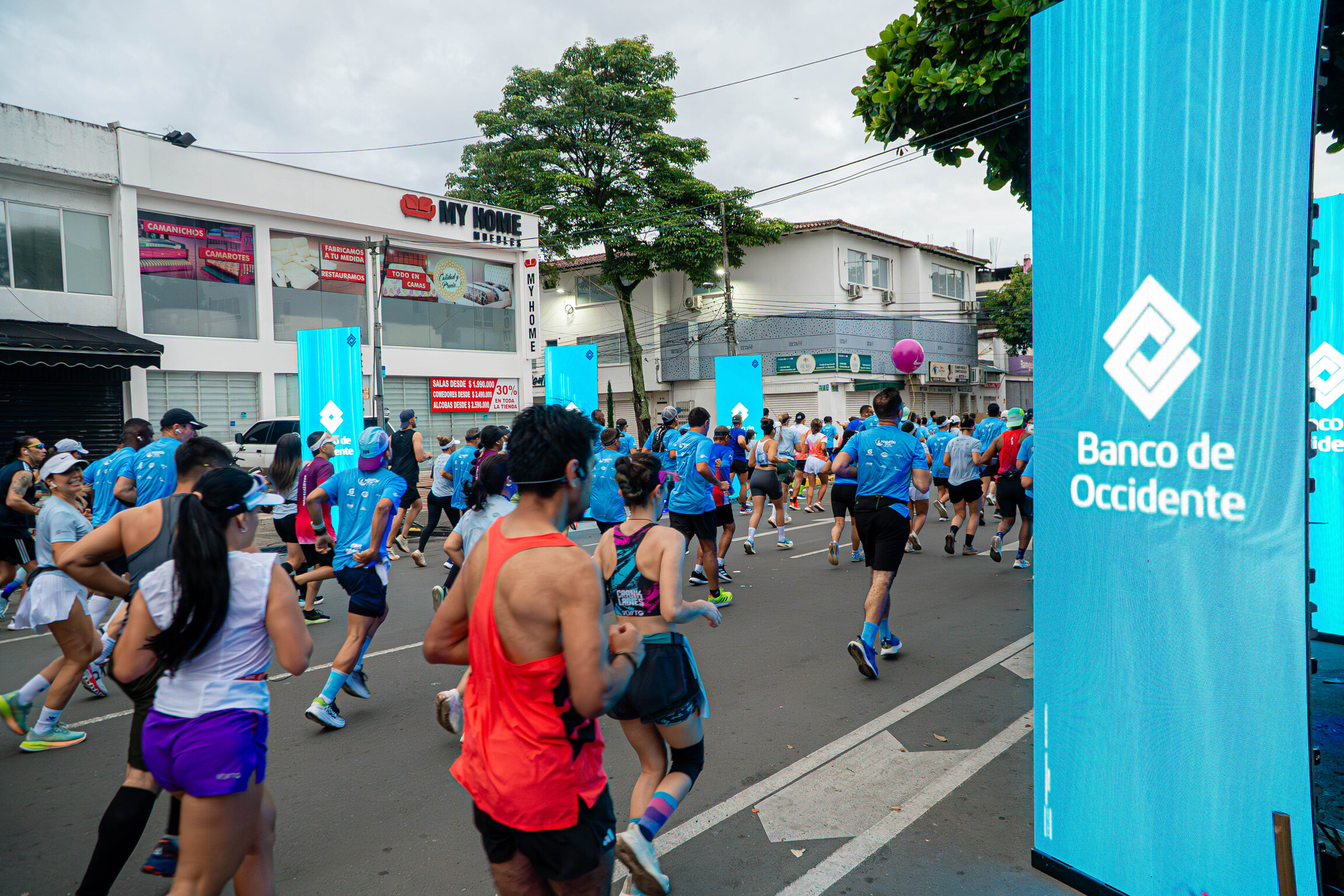 DSC07938-Mejorado-NR