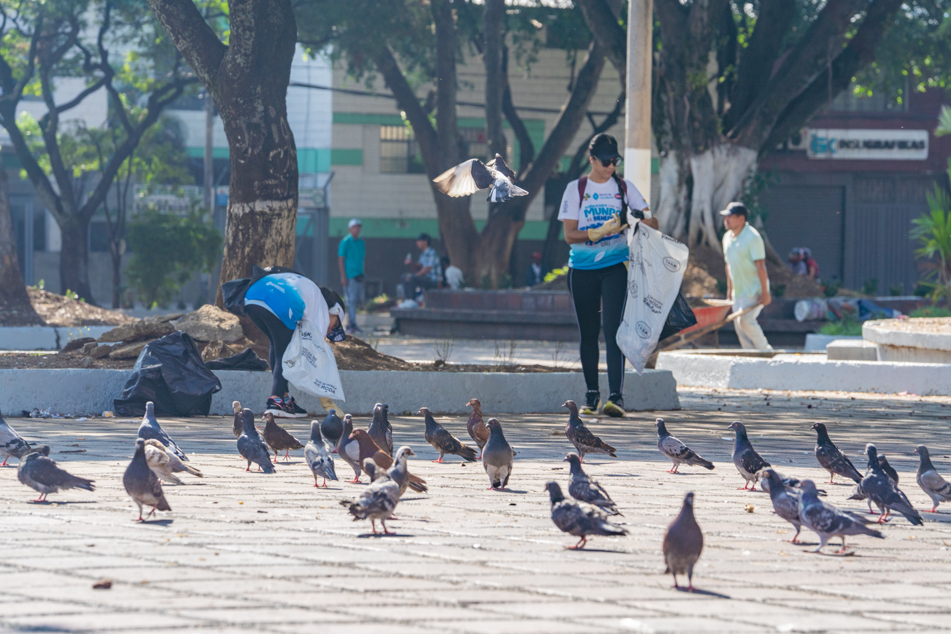10-MIBUC-Plogging (106)