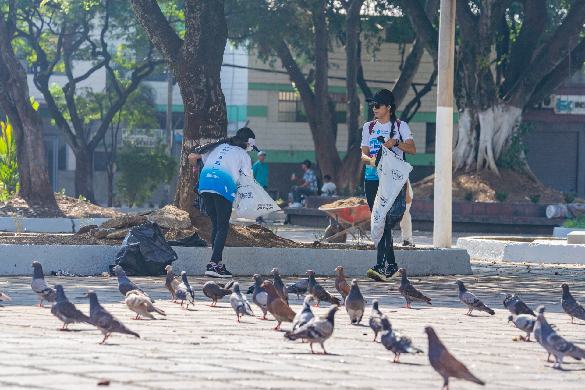 10-MIBUC-Plogging (107)