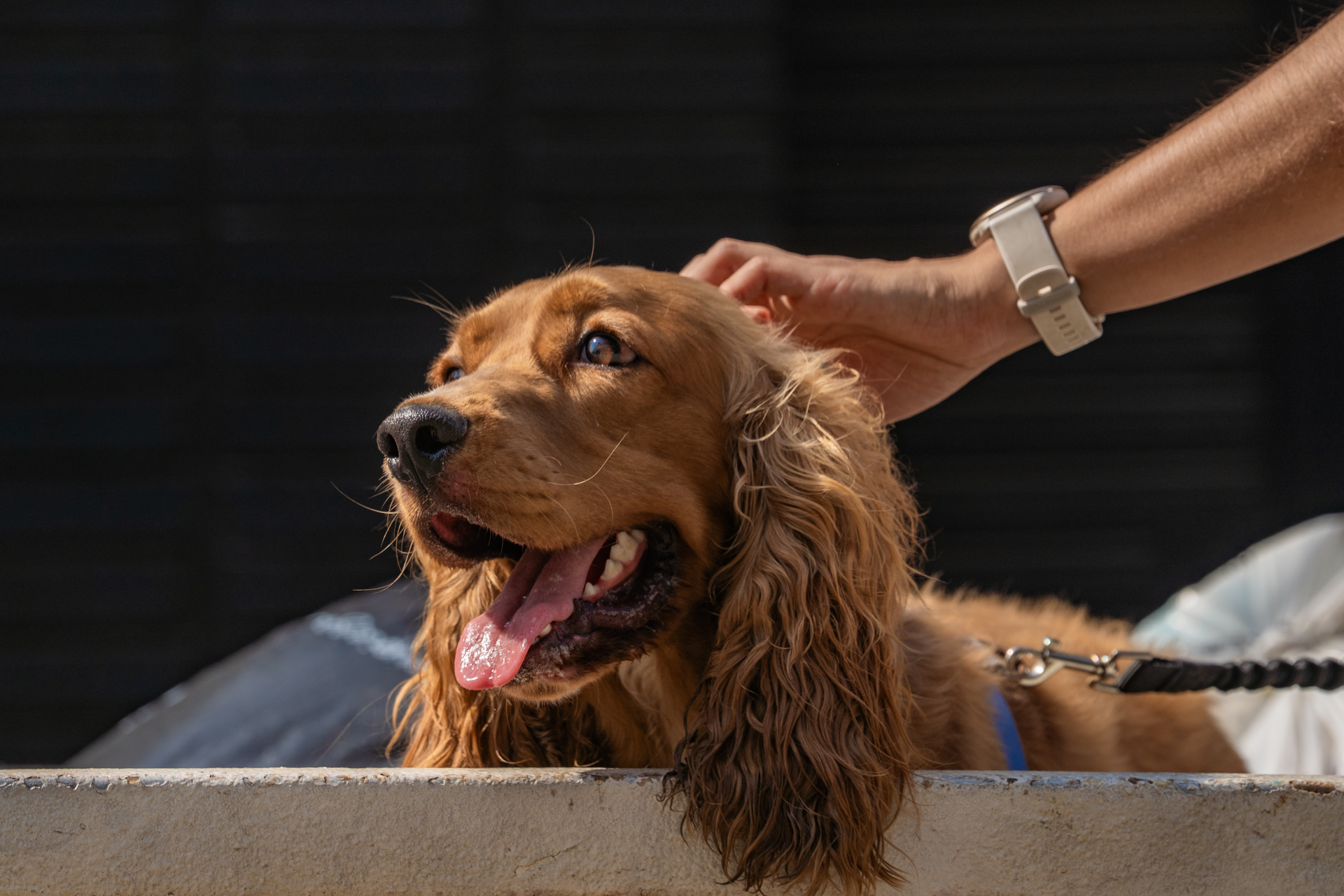 10-MIBUC-Plogging (129)