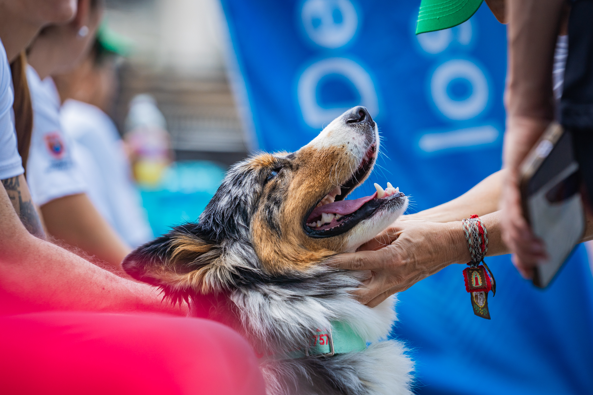 10-MIBUC-Plogging (139)