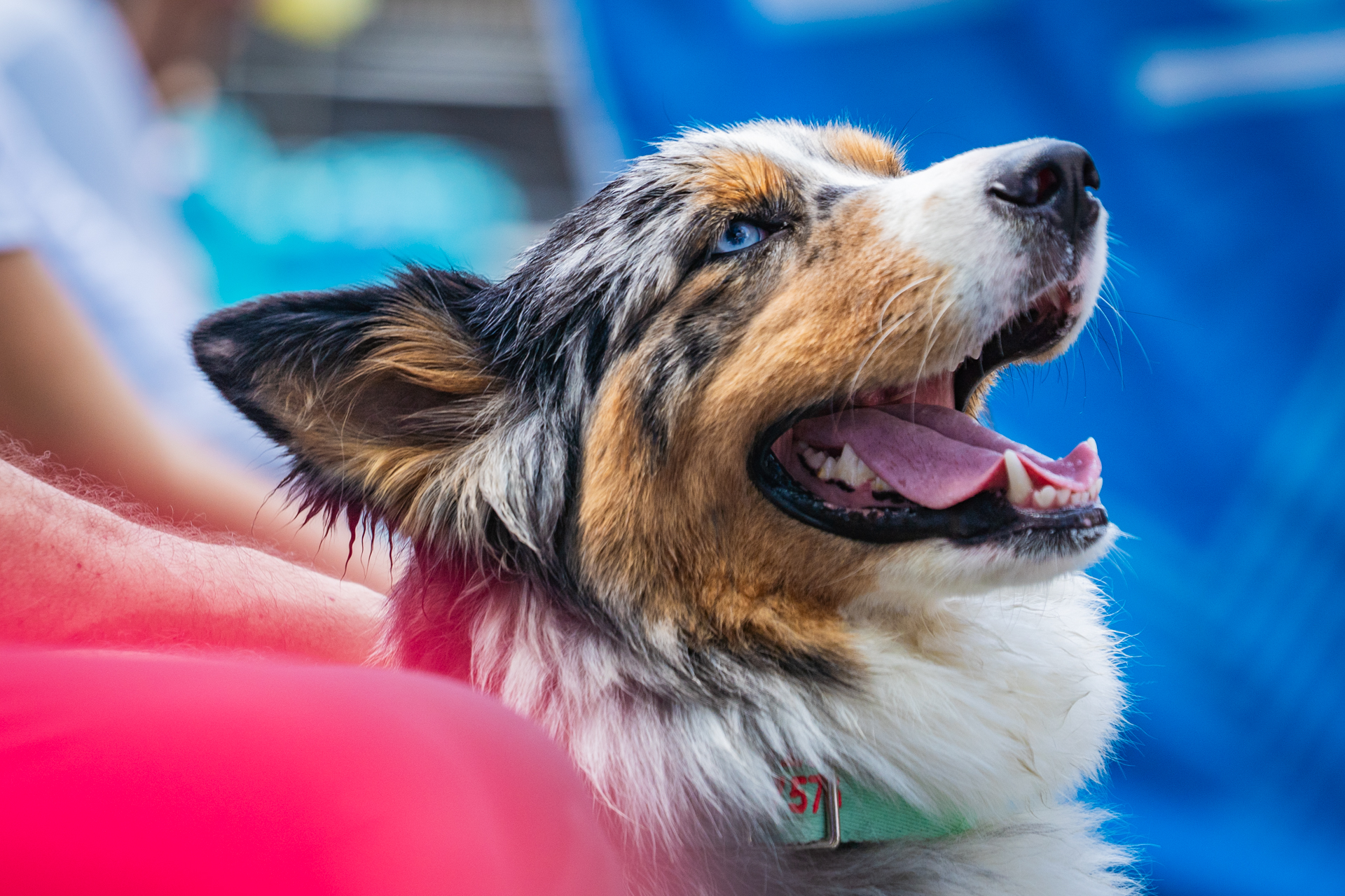 10-MIBUC-Plogging (140)