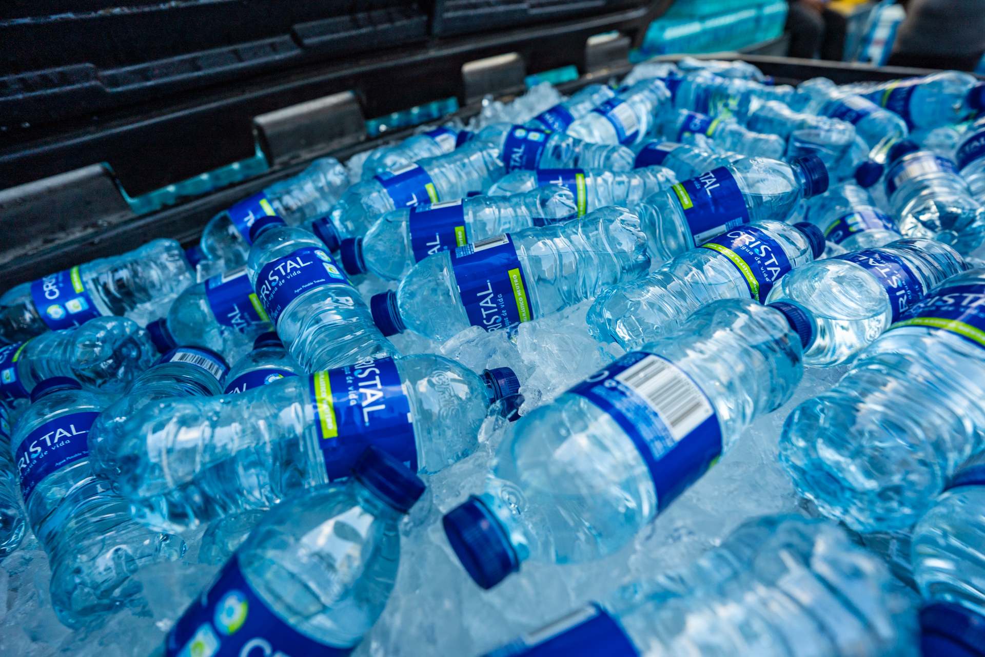 10-MIBUC-Plogging (168)