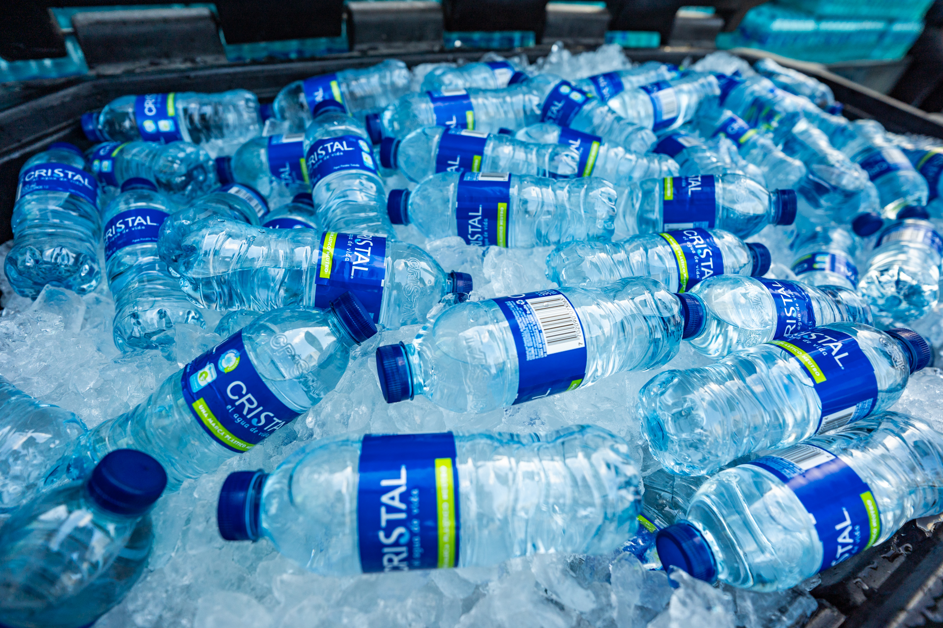 10-MIBUC-Plogging (169)