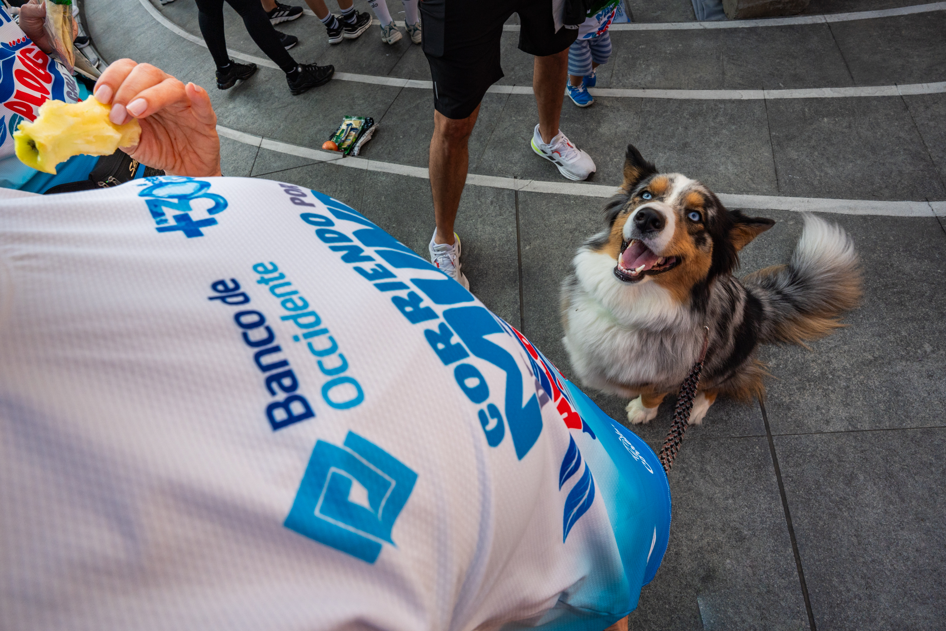 10-MIBUC-Plogging (201)