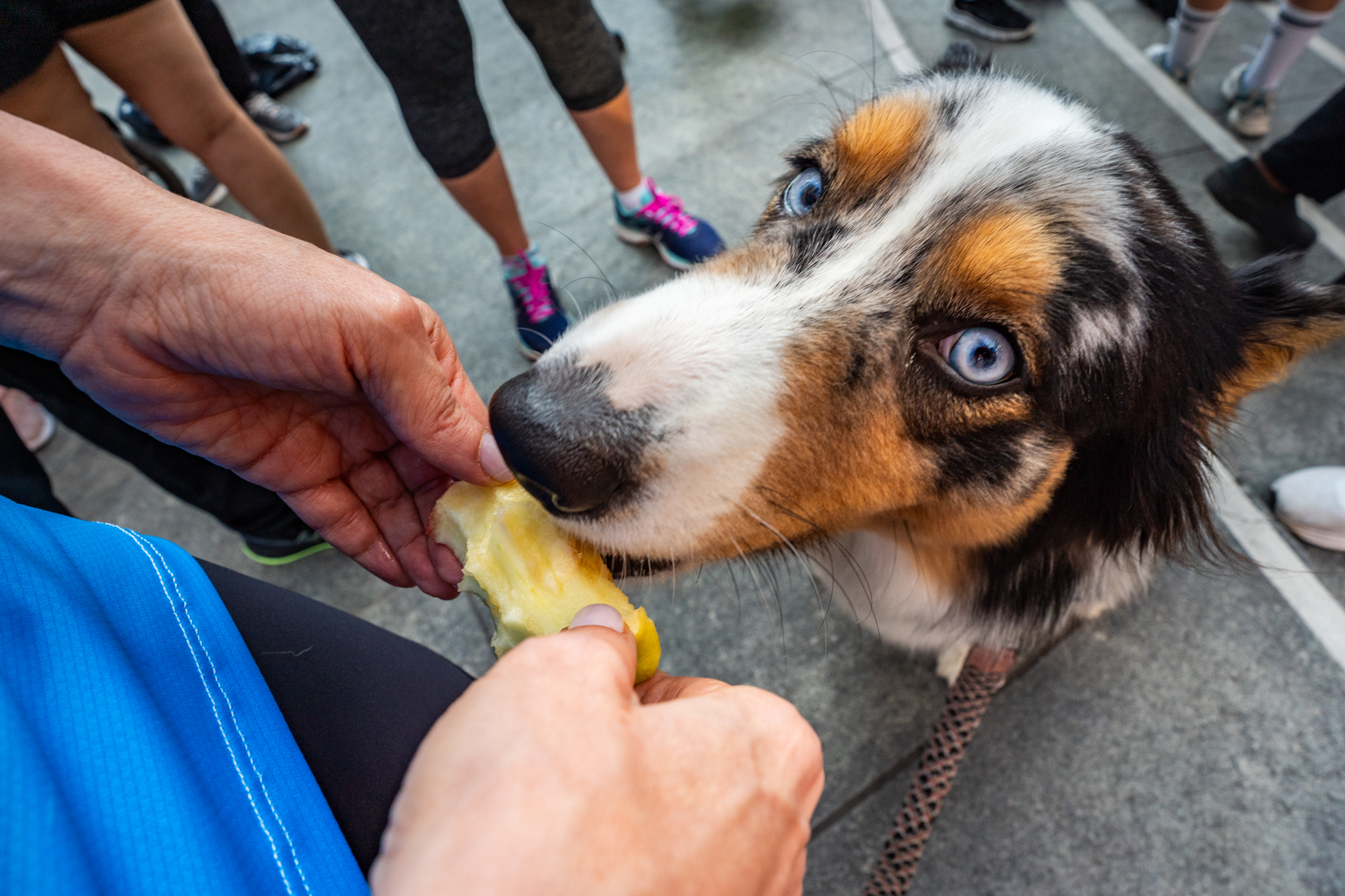 10-MIBUC-Plogging (202)