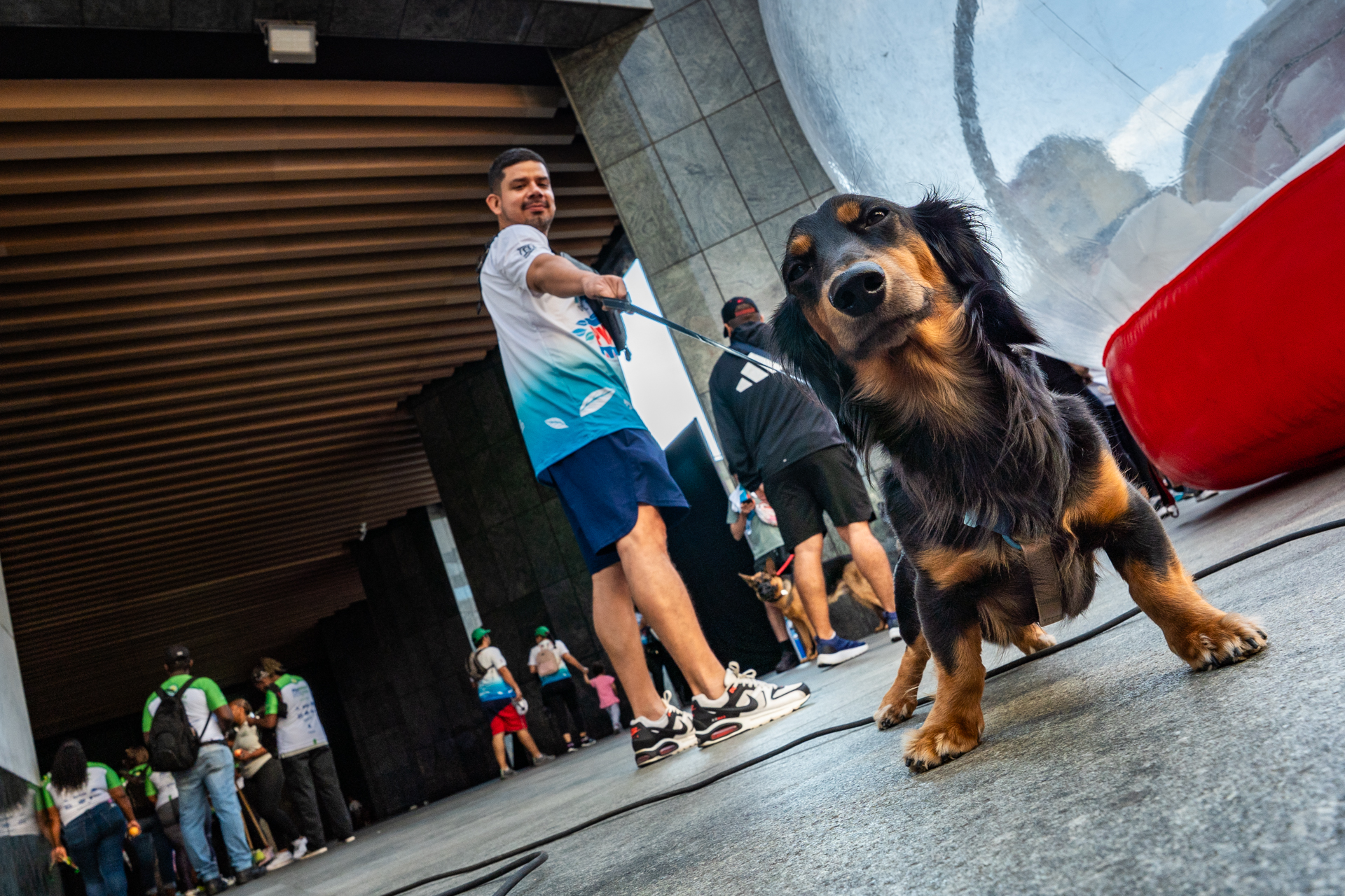 10-MIBUC-Plogging (209)