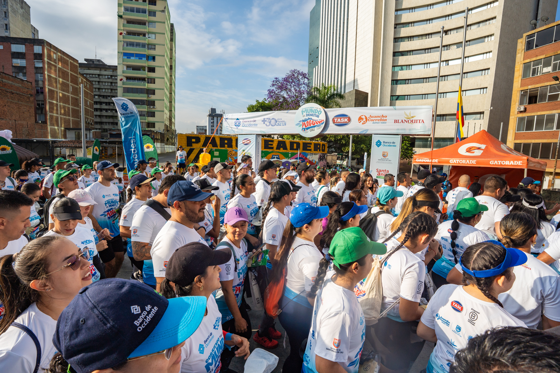 10-MIBUC-Plogging (246)