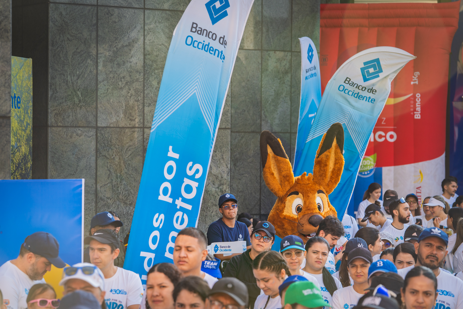 10-MIBUC-Plogging (25)