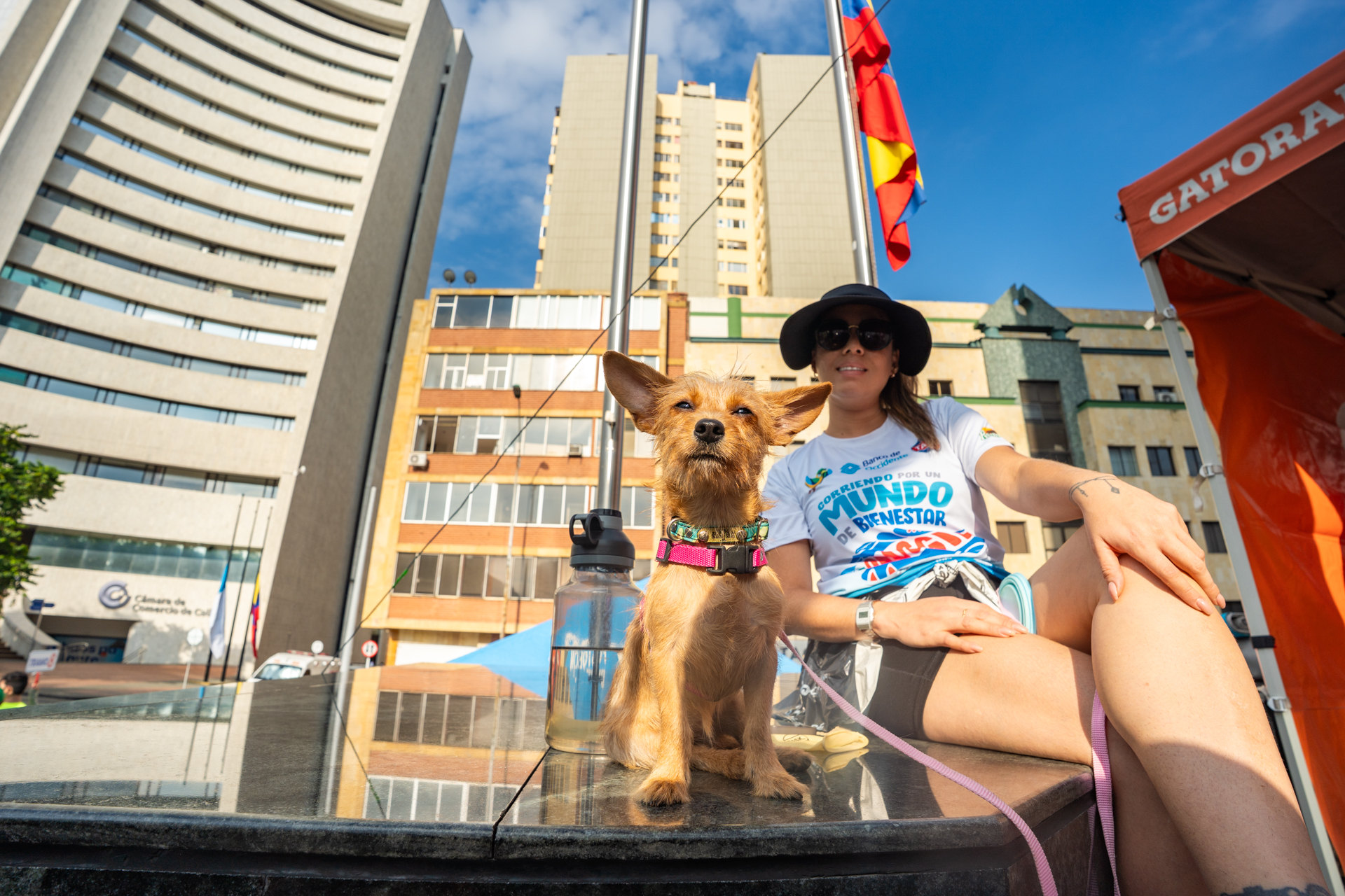 10-MIBUC-Plogging (260)