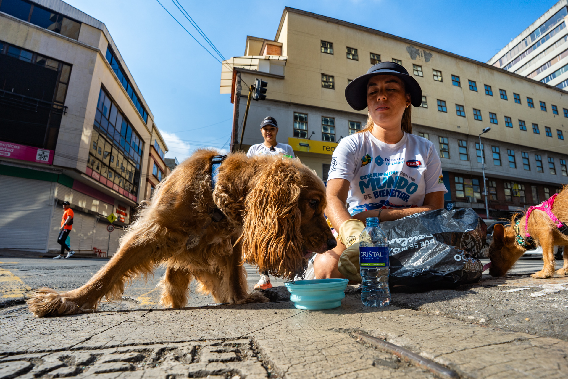 10-MIBUC-Plogging (290)