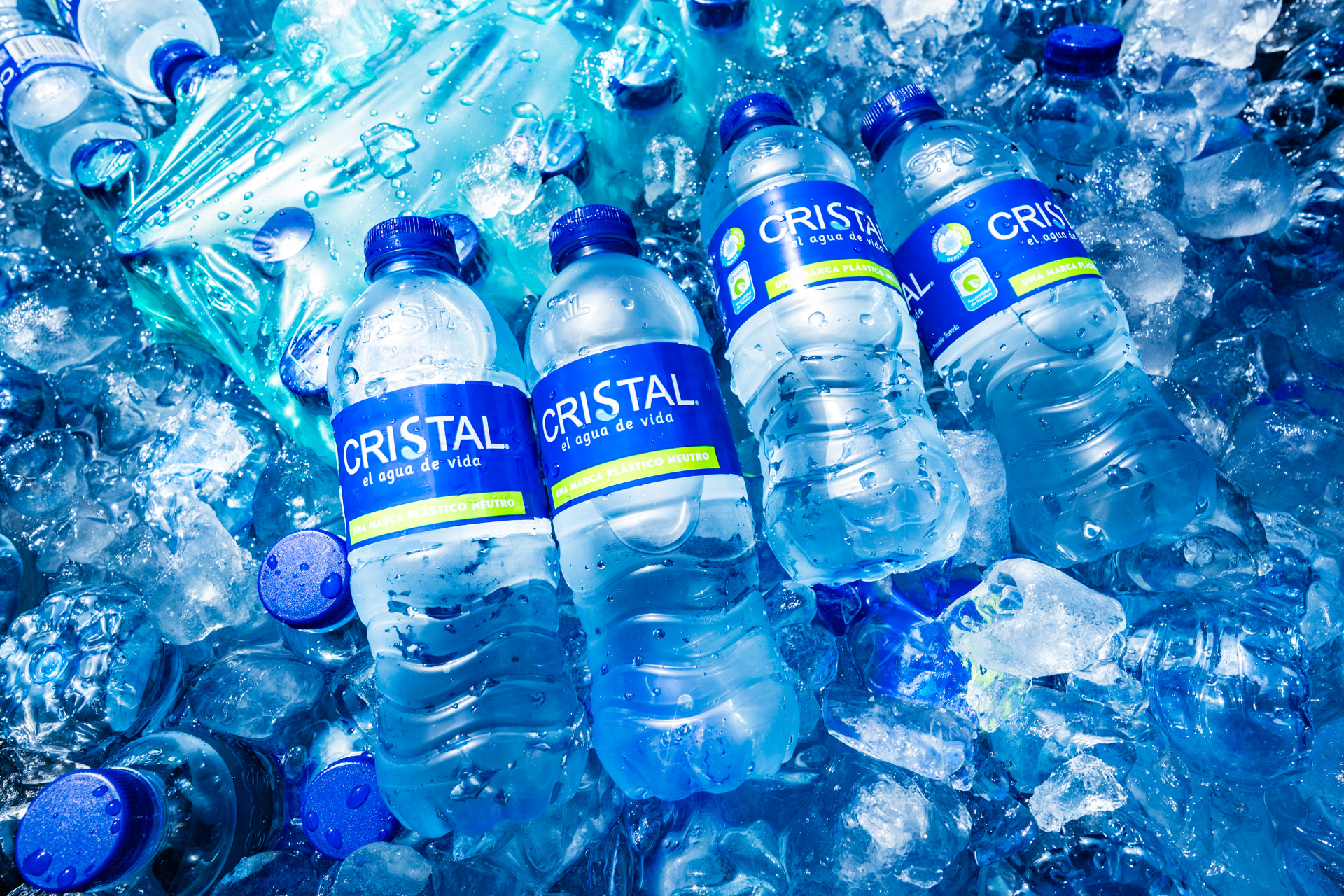 10-MIBUC-Plogging (315)