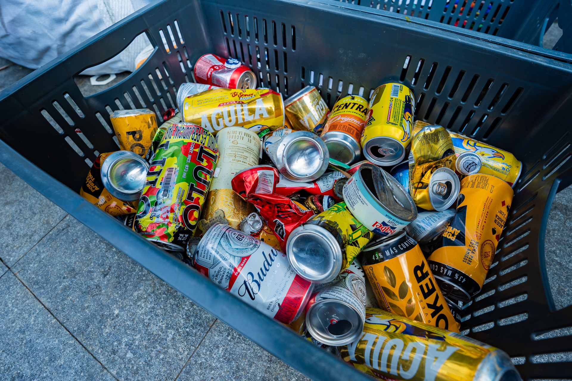 10-MIBUC-Plogging (320)