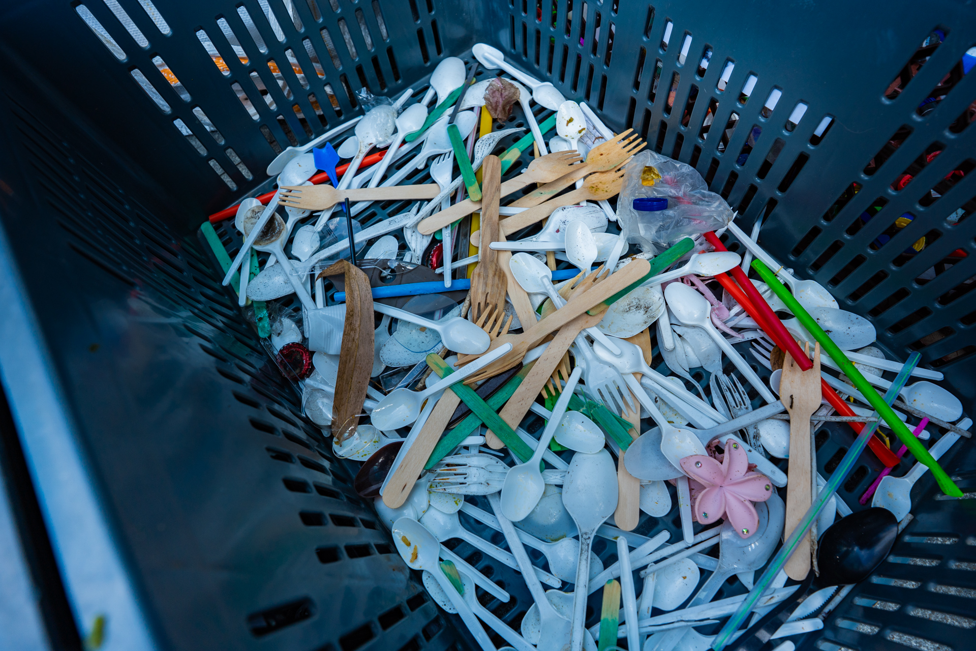 10-MIBUC-Plogging (321)