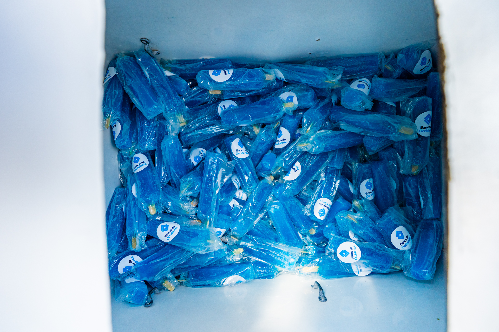 10-MIBUC-Plogging (334)