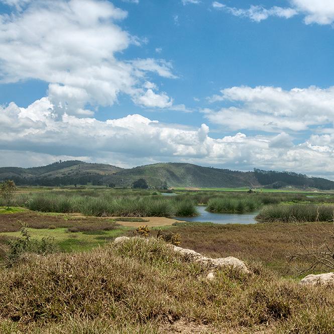 Agua y cambio climático: un desafío que nos conecta a todos