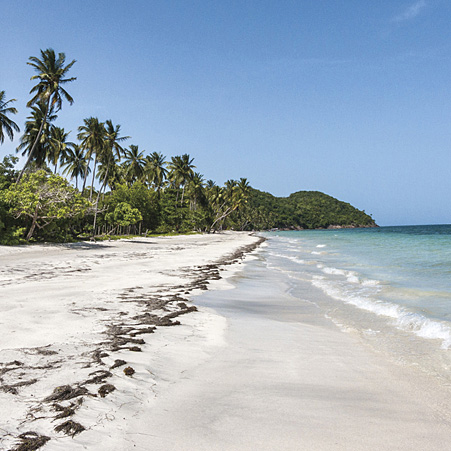 ¿Sabías que las playas son el escudo natural que protege los acuíferos?