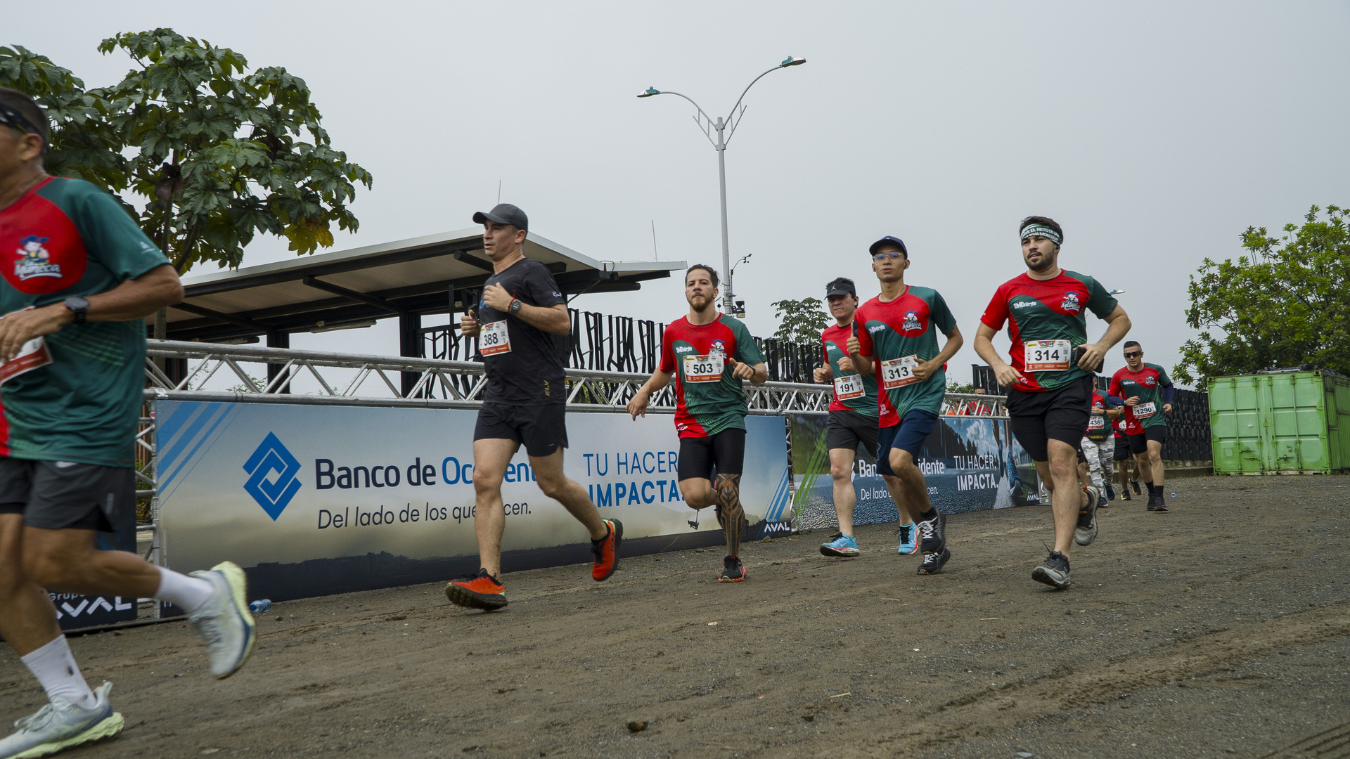 carrera_la_muneca_495