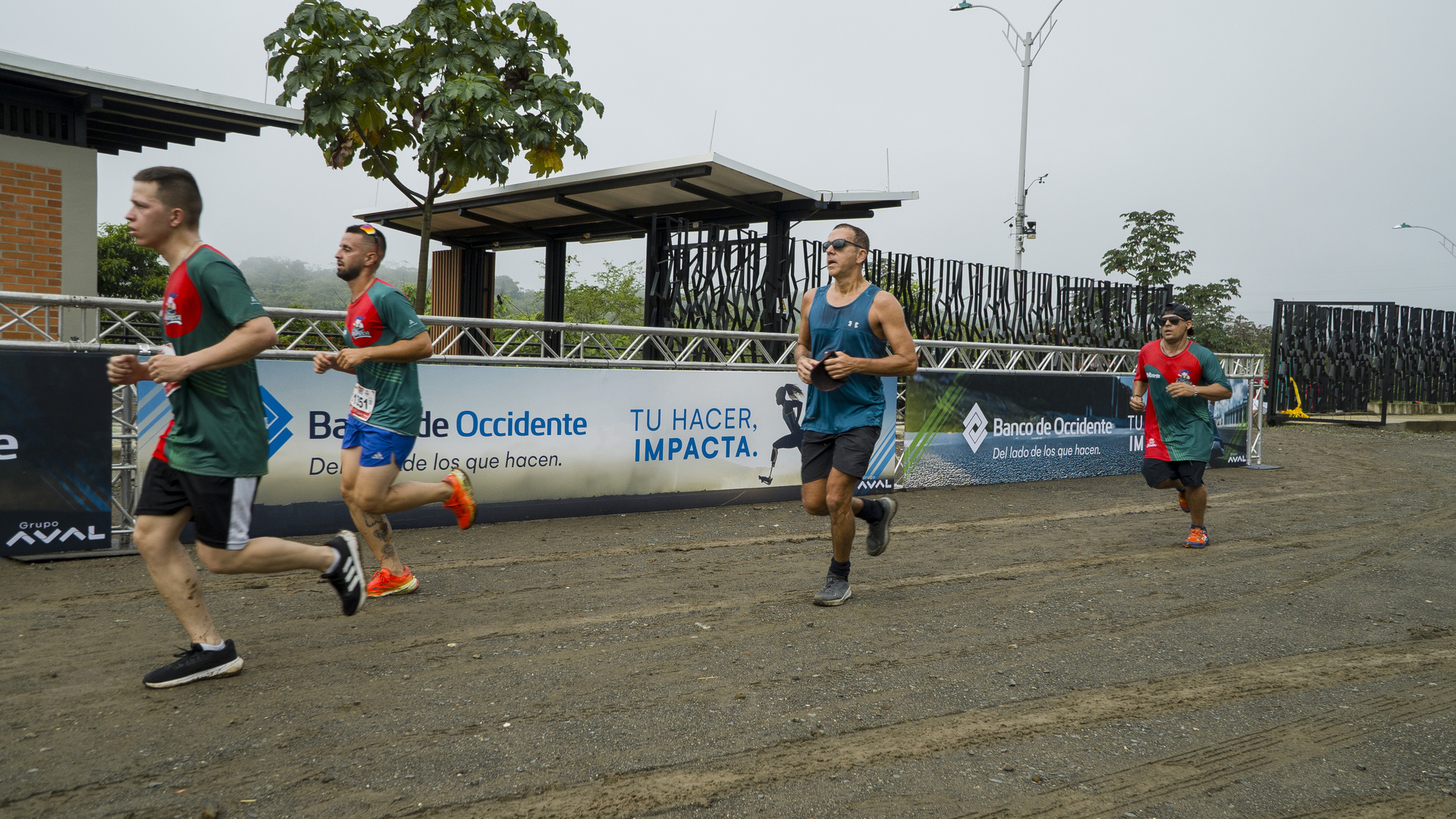 carrera_la_muneca_800