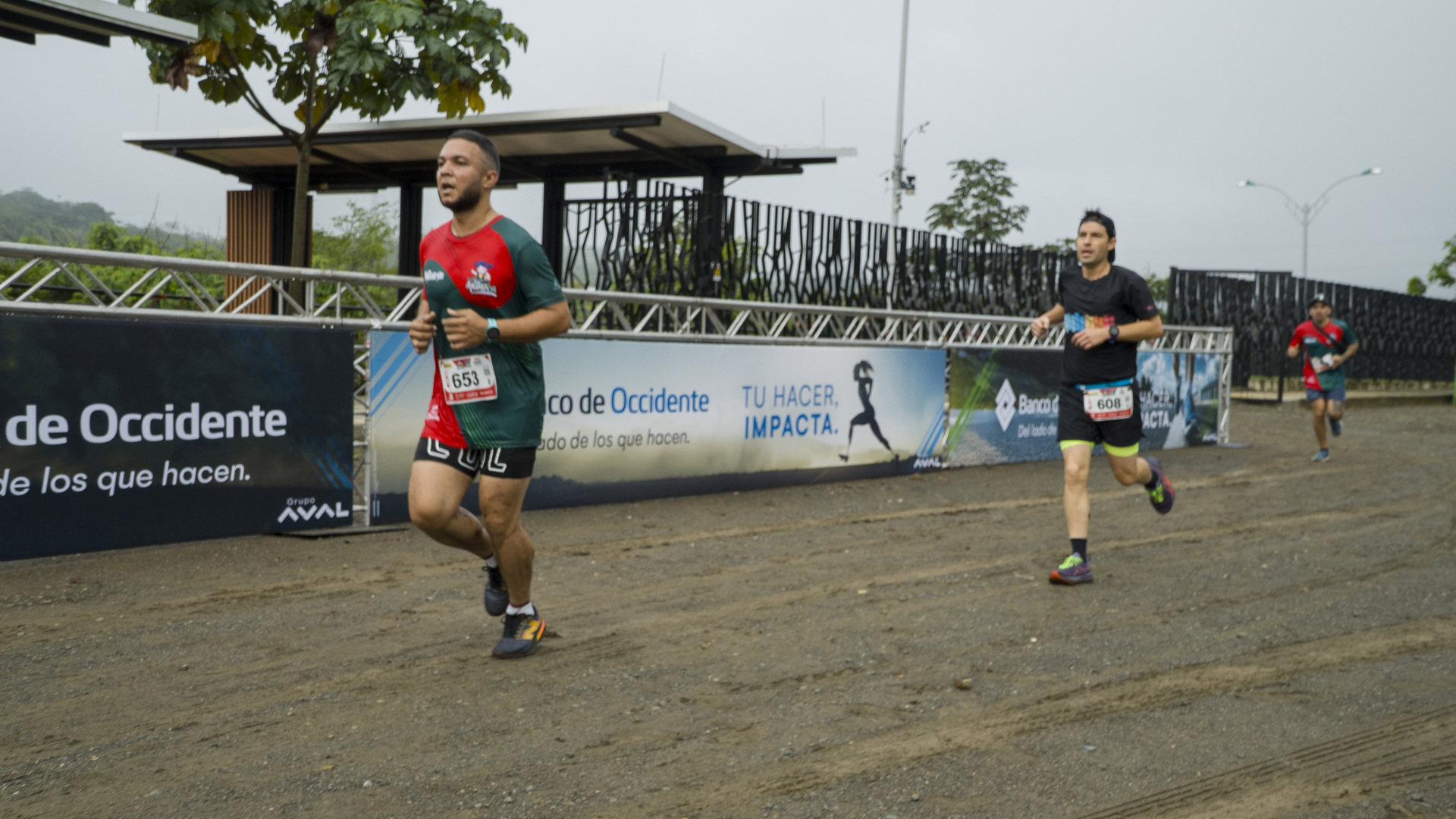 carrera_la_muneca_831