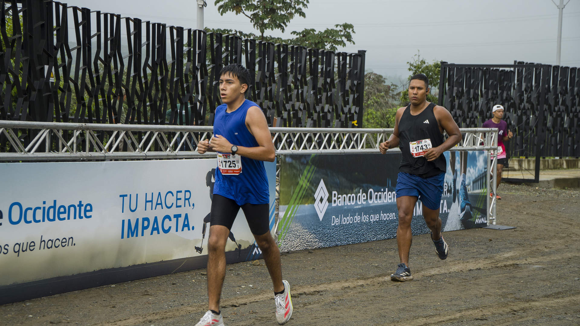 carrera_la_muneca_864