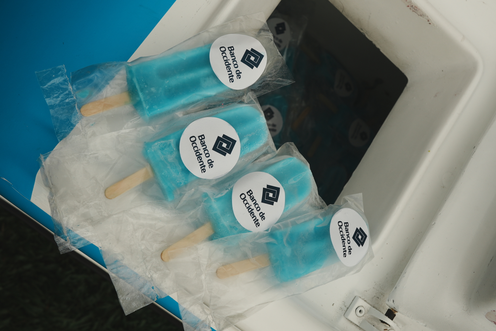 colegio_bolivar_3k_11