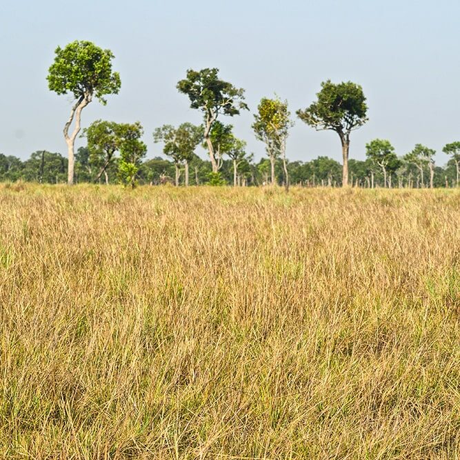 Reservas de biósfera: laboratorios vivos de sostenibilidad