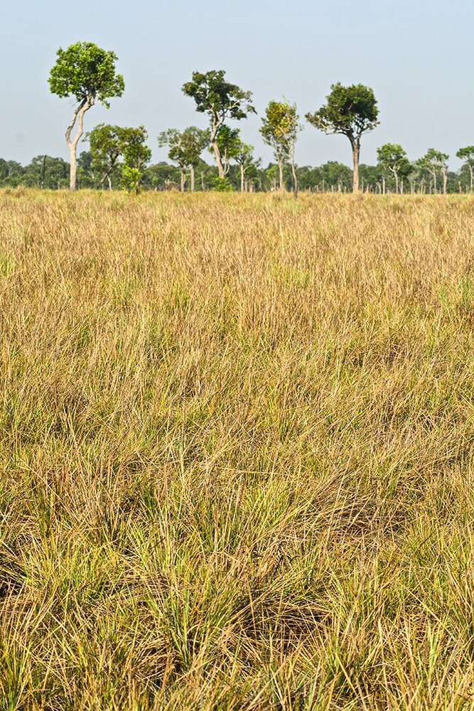 Reservas de biósfera: laboratorios vivos de sostenibilidad