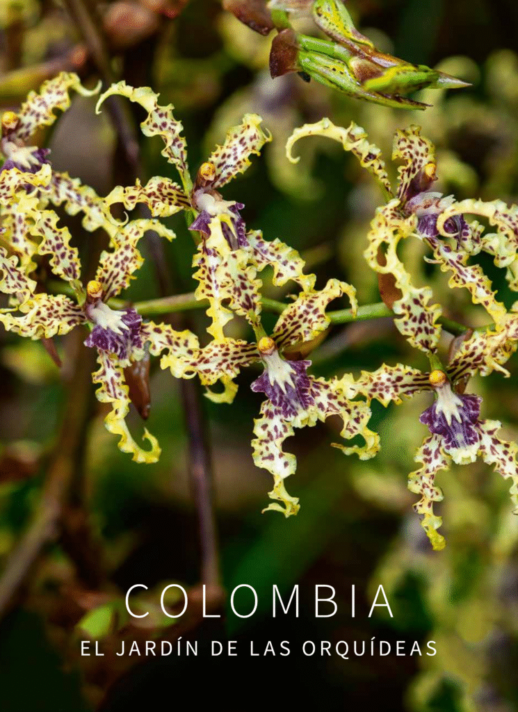Colombia Jardín de las Orquídeas