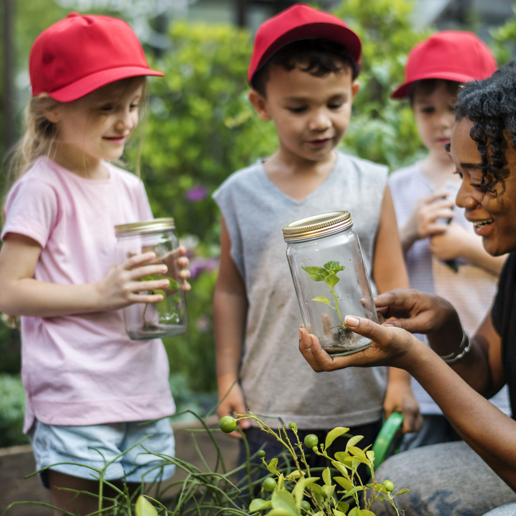 Teacher and kids school learning ecology gardening