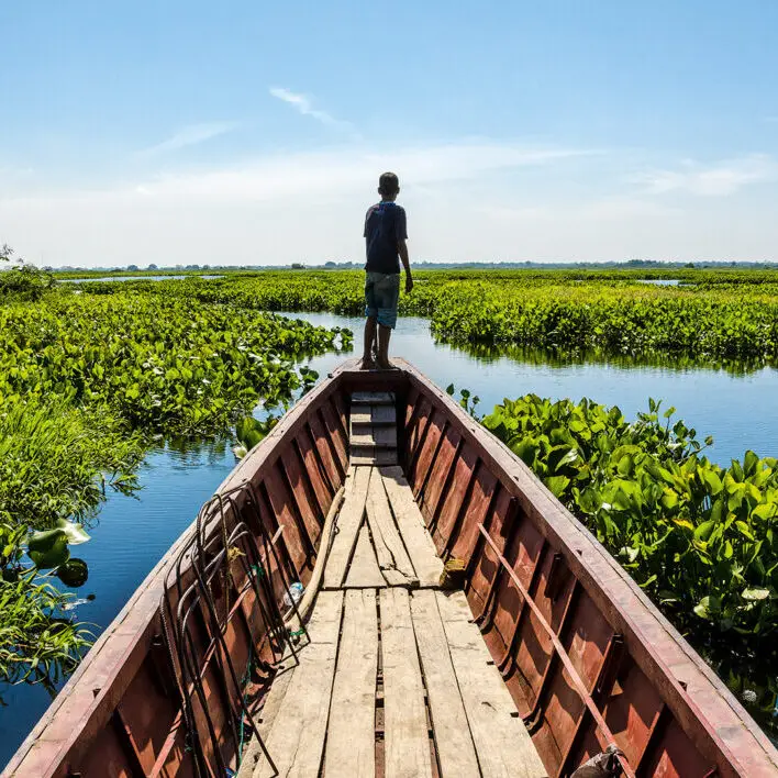 El papel de los humedales en el suministro de agua potable