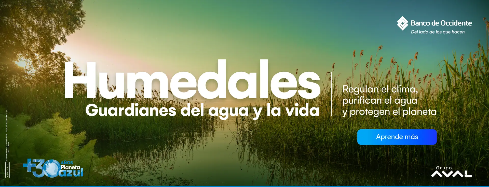 Banner-web-Humedales