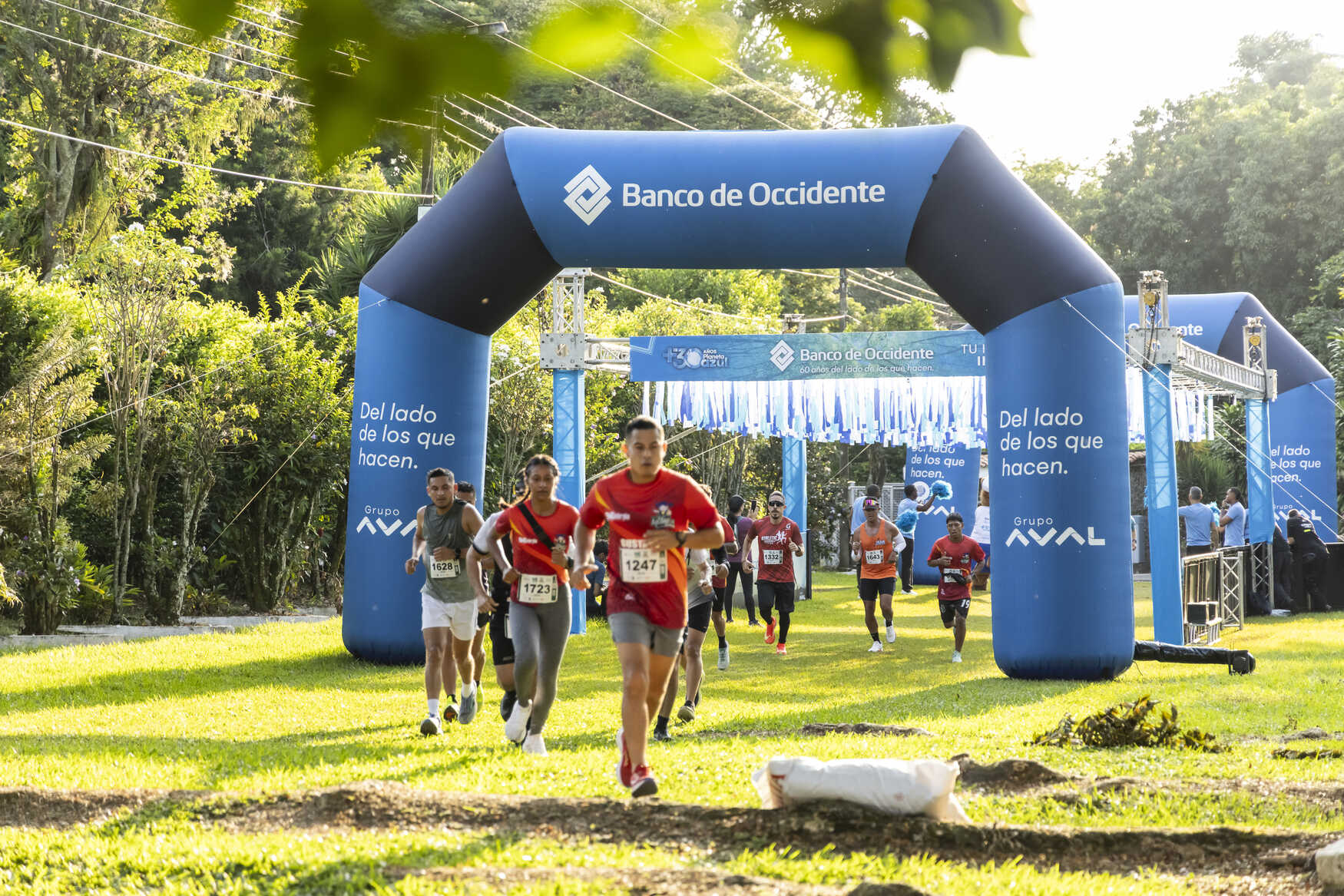 carrera_verde_061