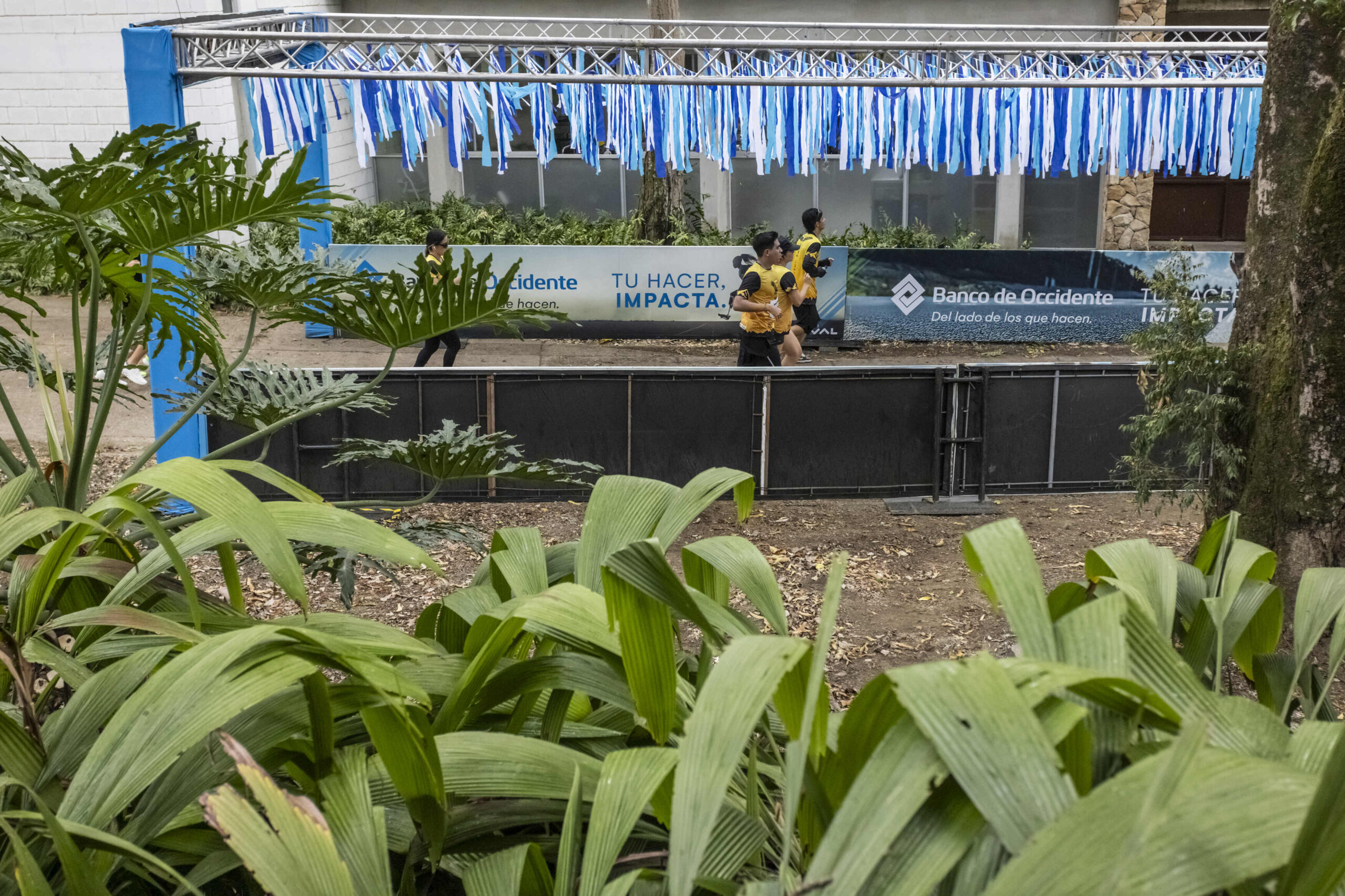 zoo_2026_96