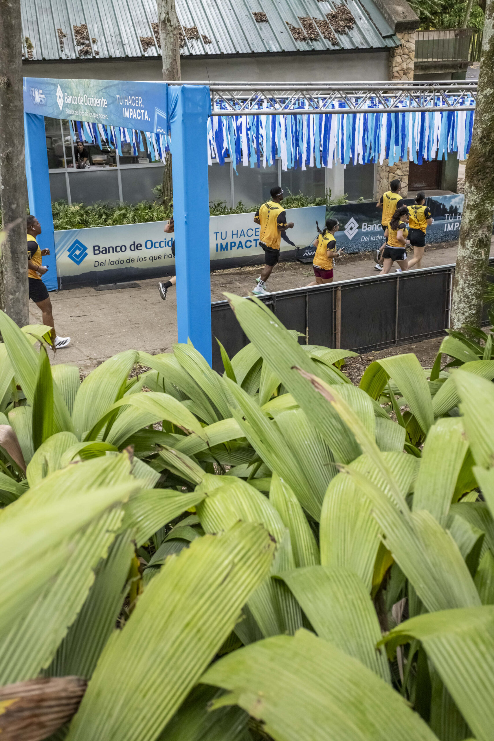 zoo_2026_97