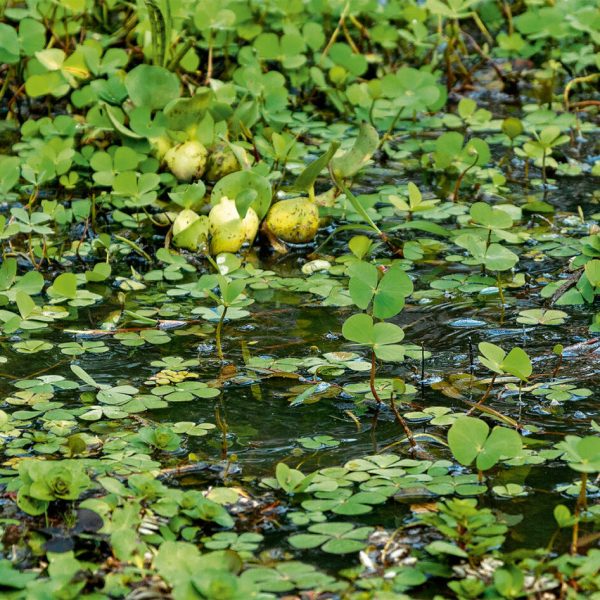 cap02_foto10-1024×947