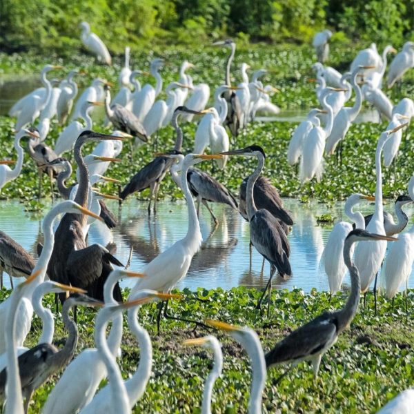 cap03_foto33-904×1024