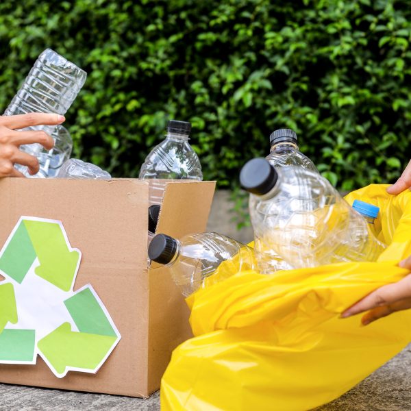 Dispose Recycle And Waste Management Concept
