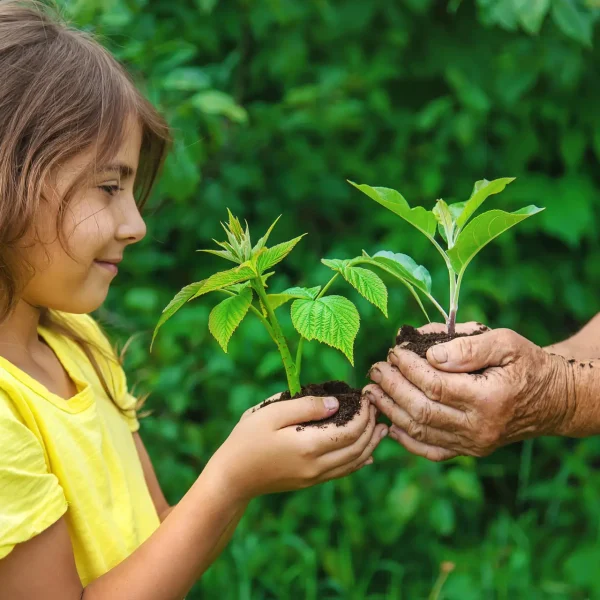 The grandmother and the child are holding a plant sprout in their hands. Selective focus. Nature.