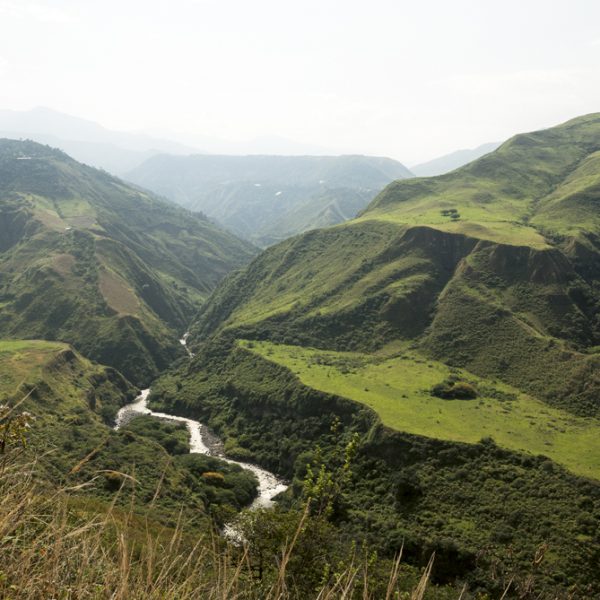 (c)Angelica Montes Arango