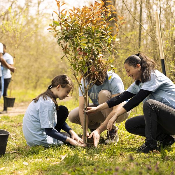 volunteers-little-kid-planting-tree-covering-hole-ground-min