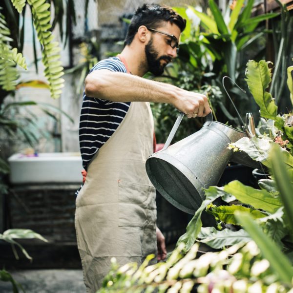 White man taking care of the plants
